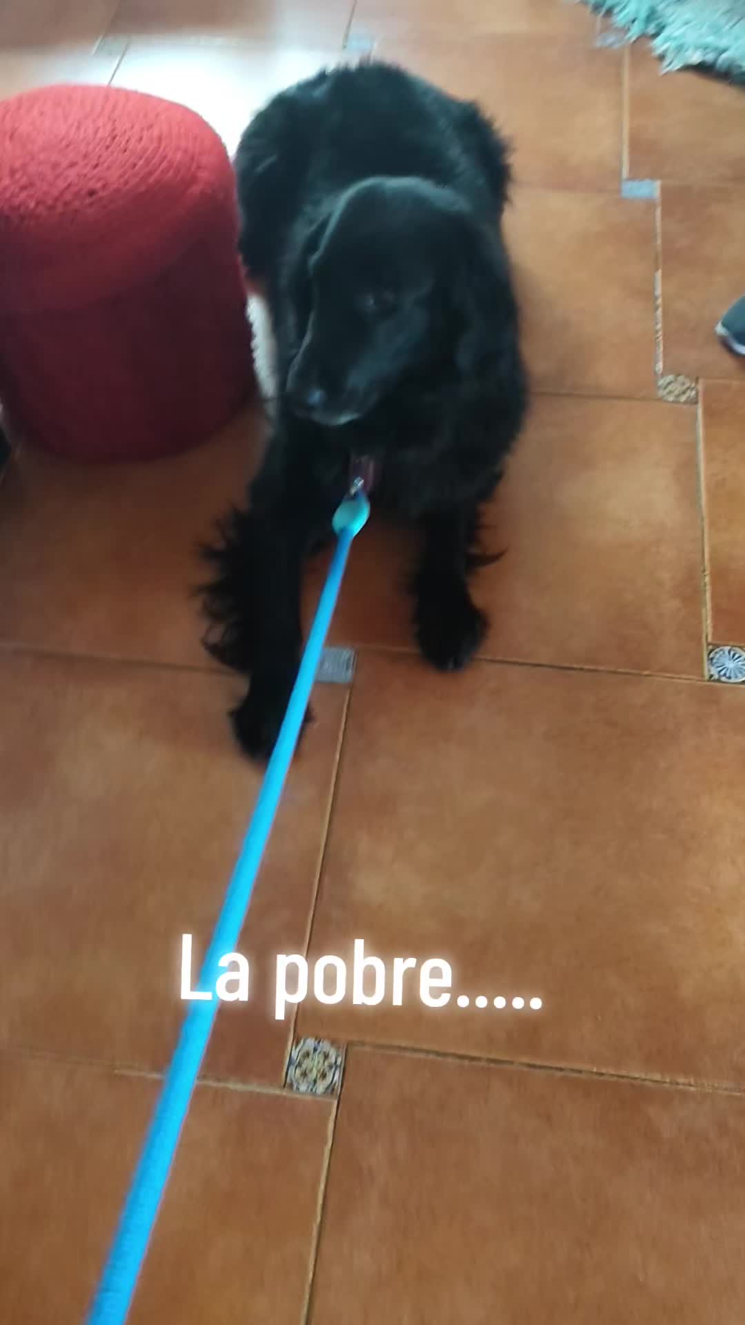 @Martuki