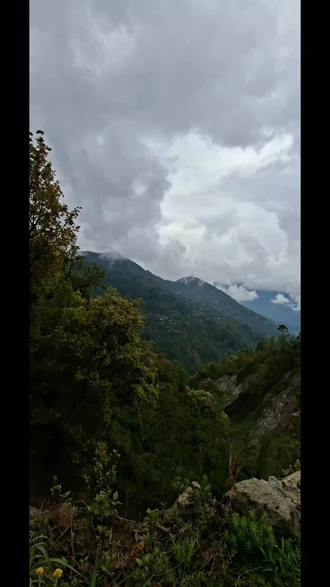 @>अनु लिम्बू<