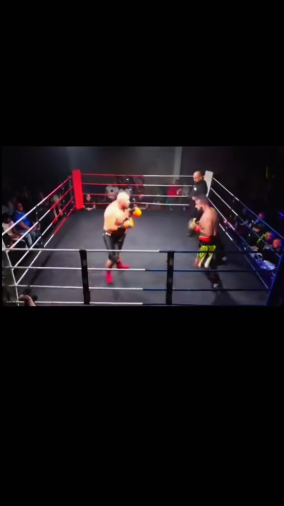 @mikehadley boxer