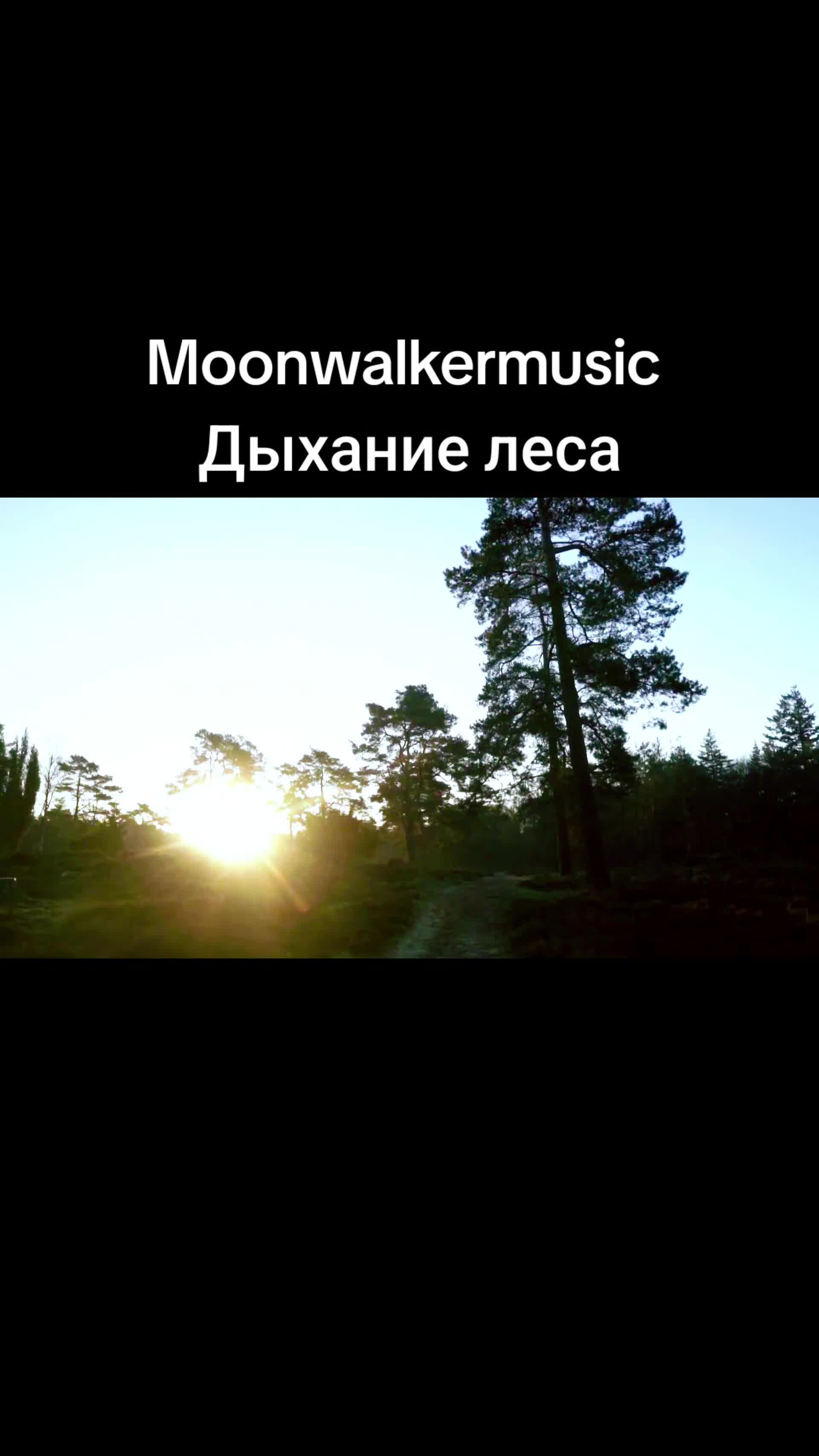 @moonwalkermusic