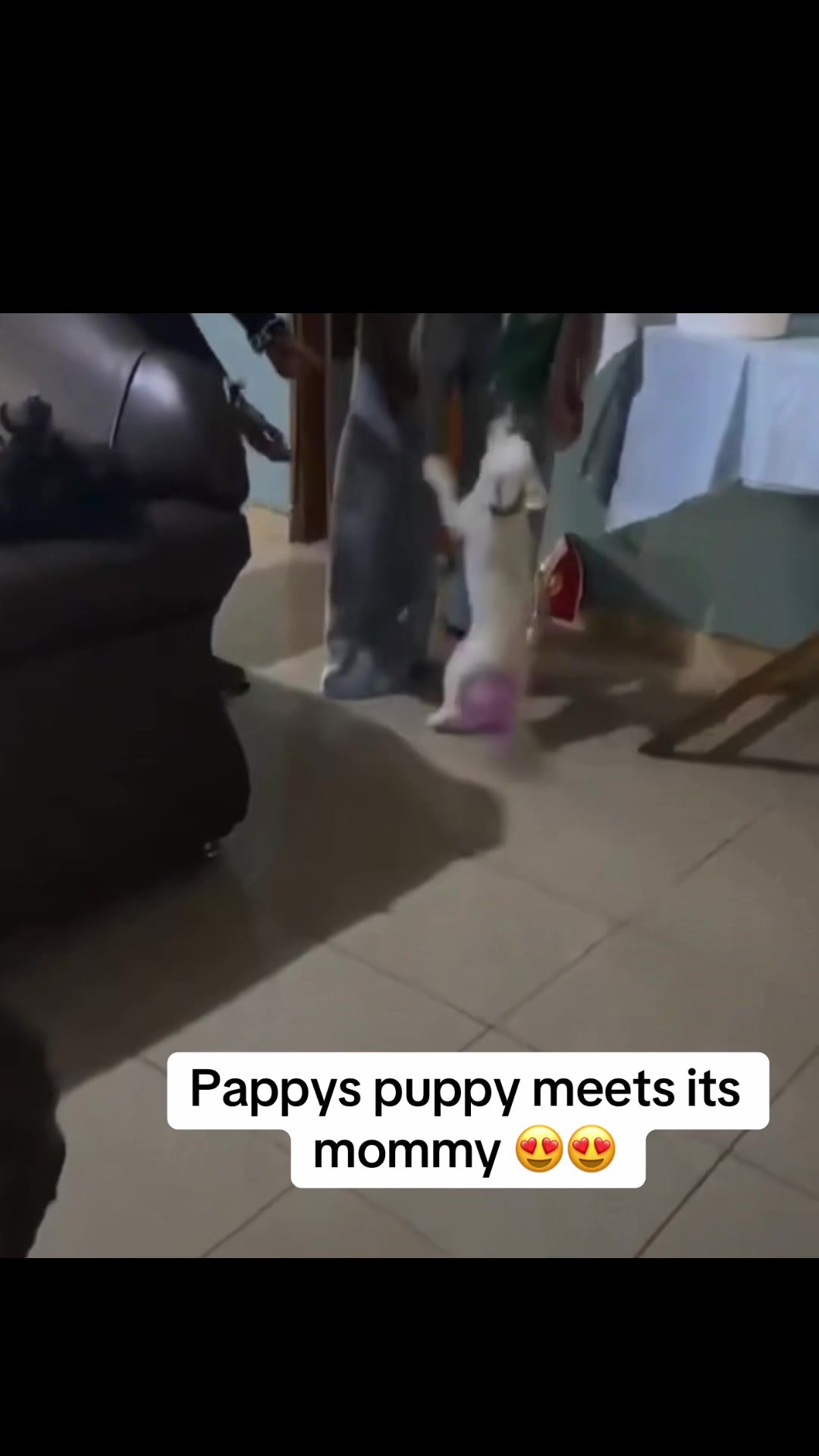 @JUST 4 PRISCARY