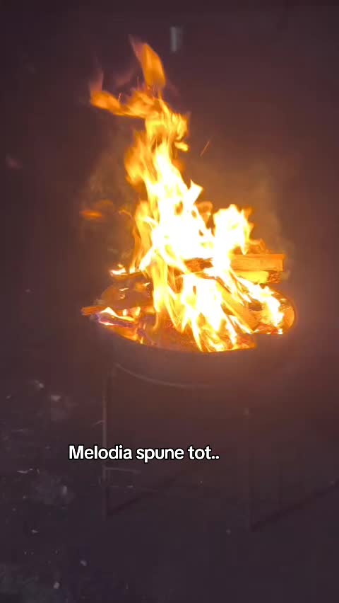 @Dobre Floryn