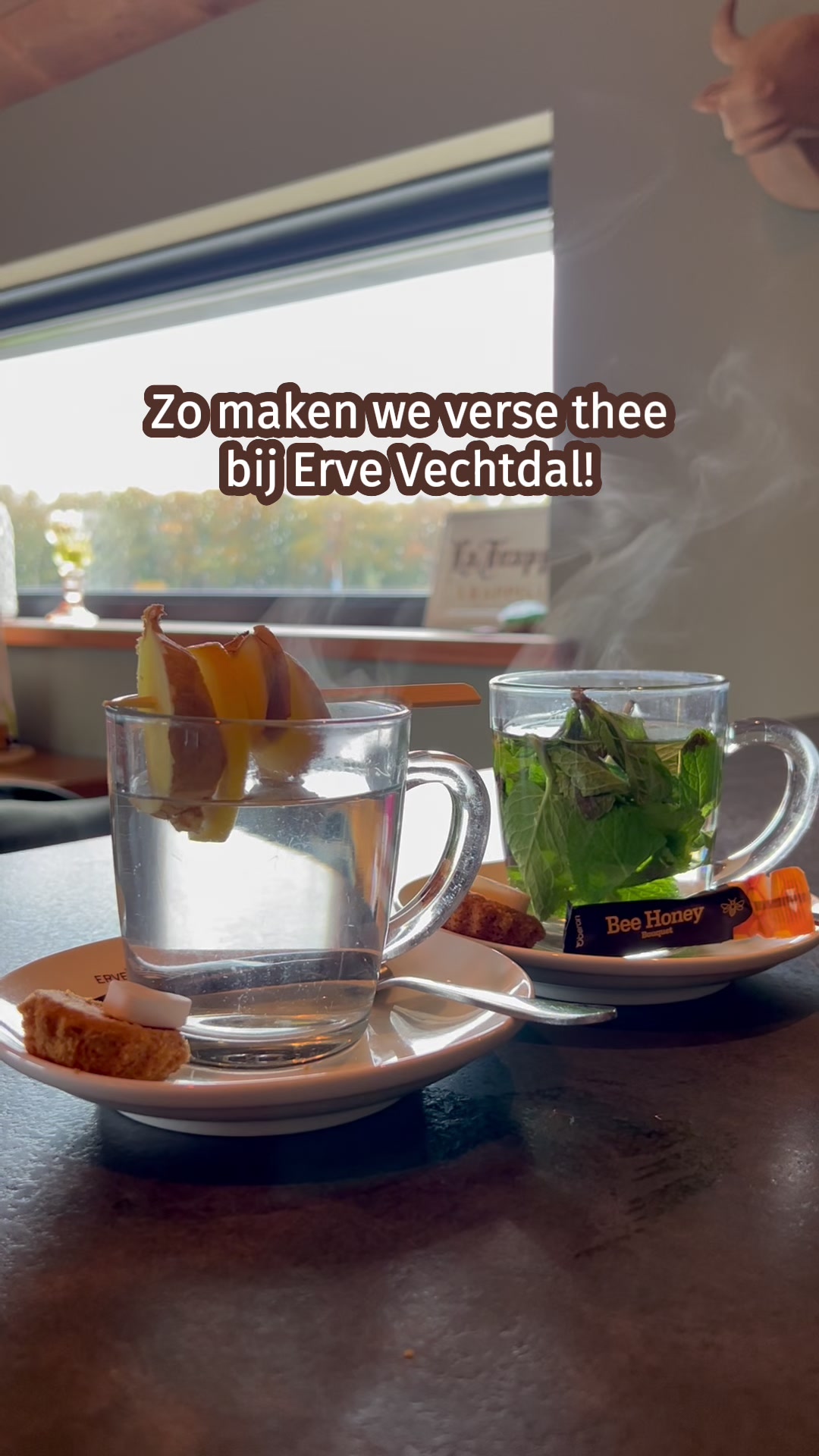 @Erve Vechtdal Koe Safari