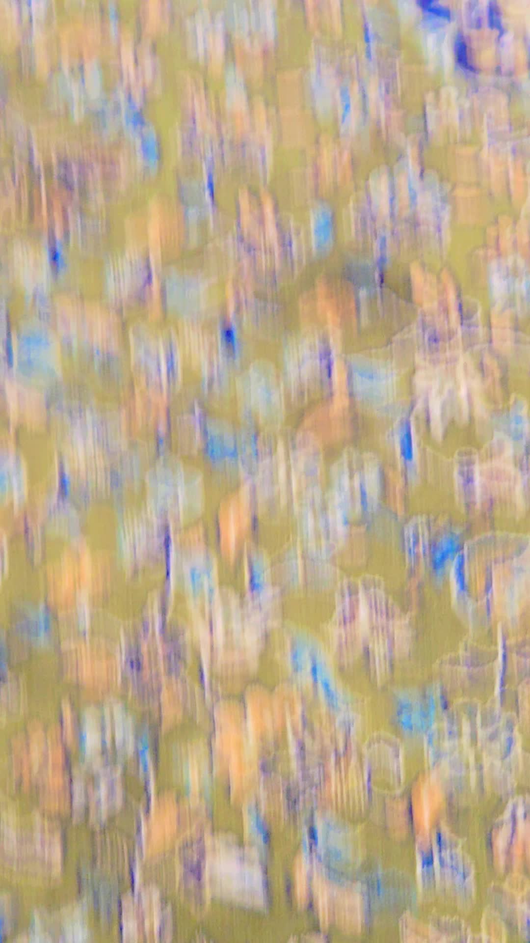 @𝔐𝔲𝔰𝔞𝔞𝔣𝔦𝔯-𝔠𝔩𝔬𝔱𝔥𝔦𝔫𝔤