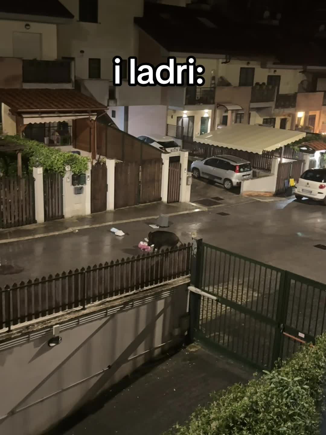 @NINA⚡️