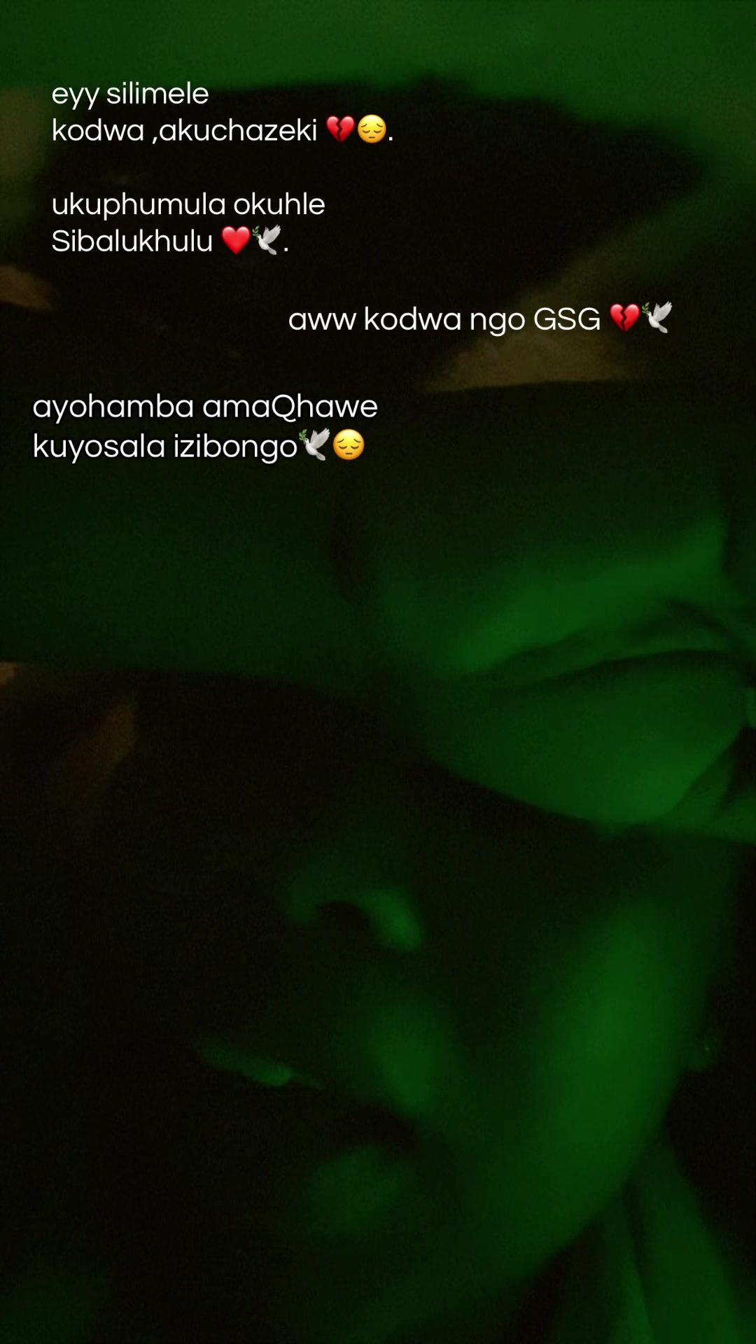 @sisanda_shenge