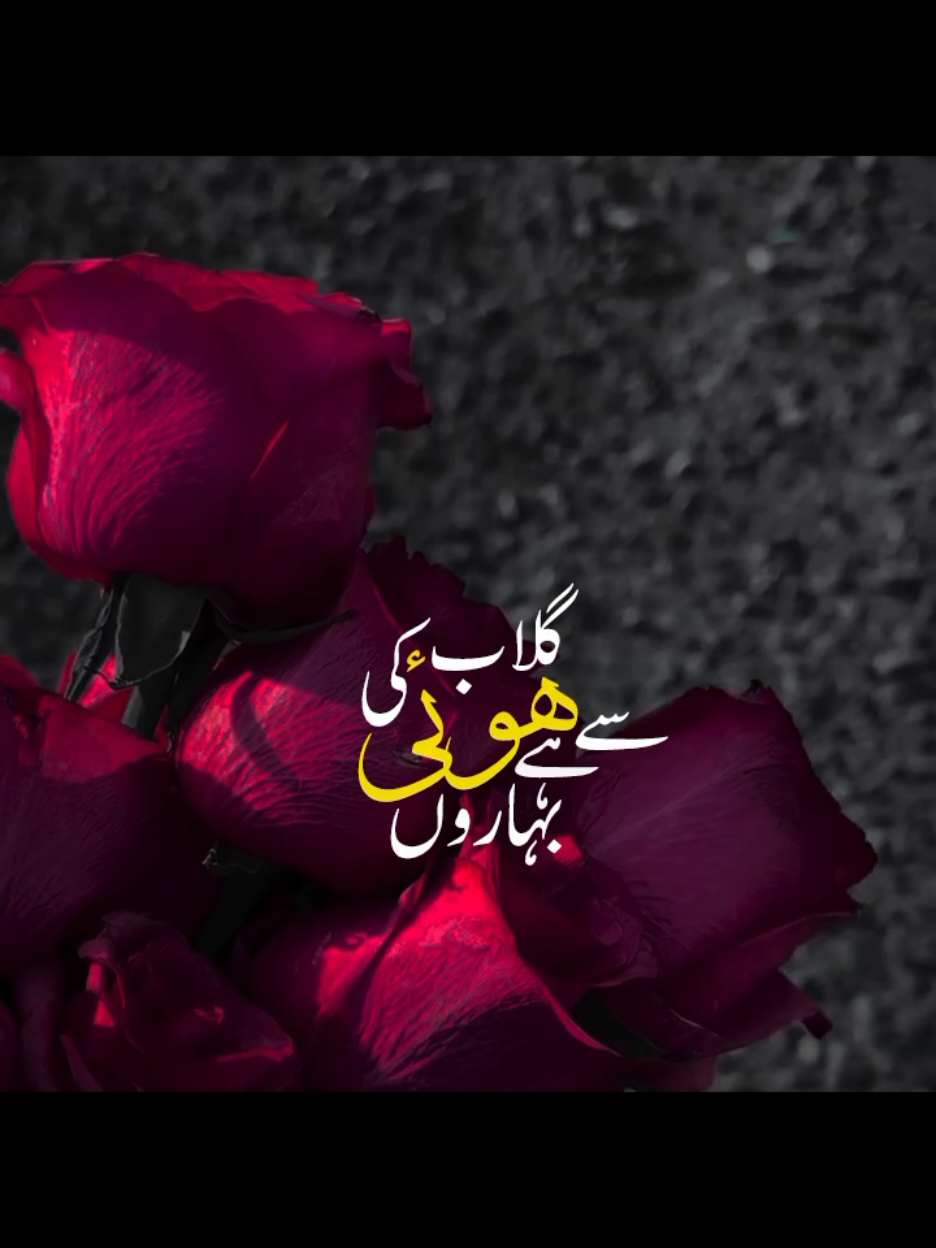 @𝐙𝐨𝐲𝐚 𝐄𝐝𝐢𝐭𝐳 💫