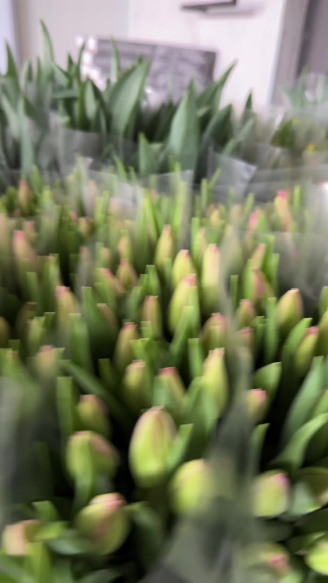 @Casconefiori