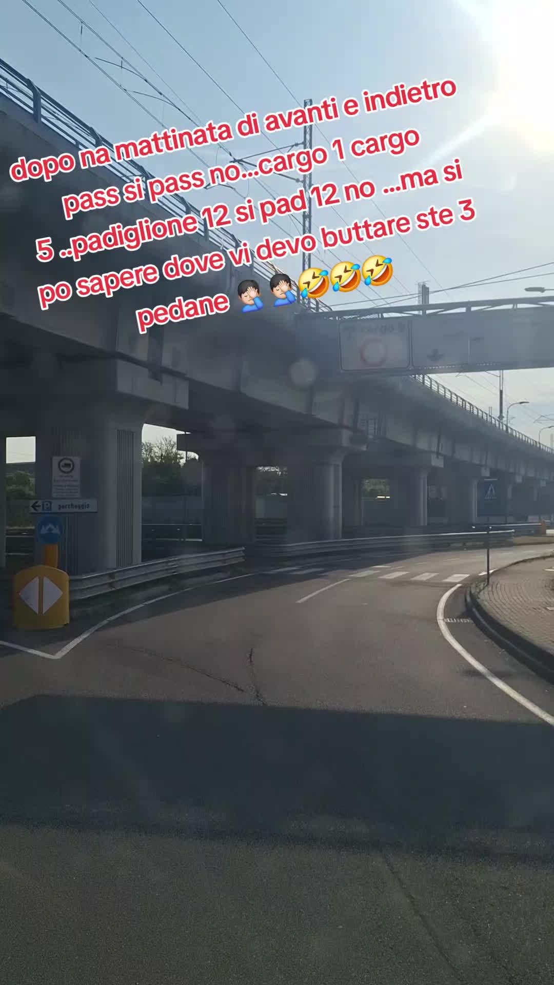 @orsamaggiore1