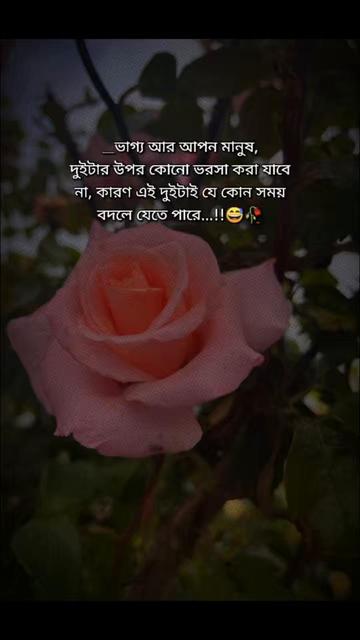 @💫💙Shathi.143💙💫