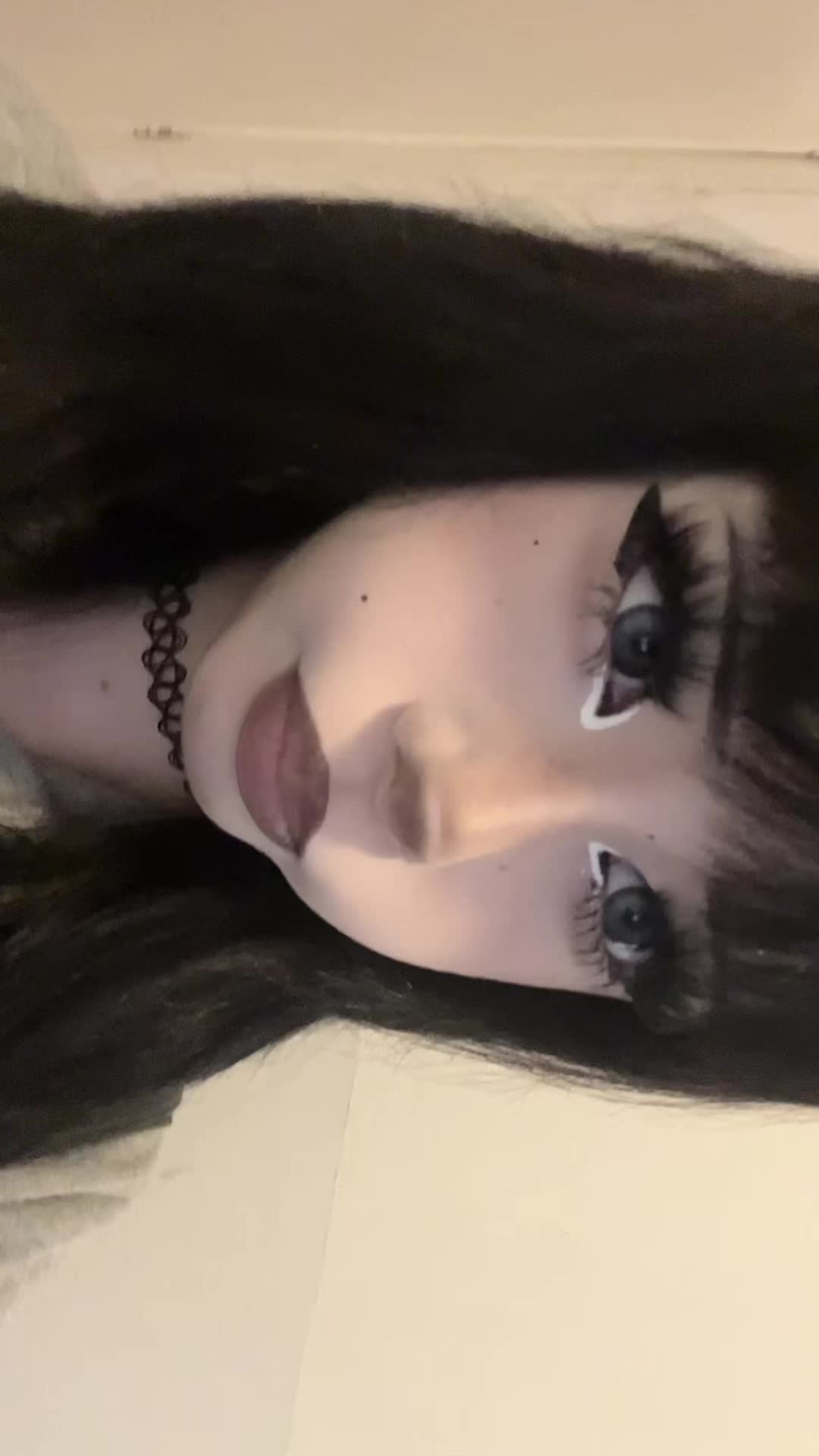 @૮₍ ˶•⤙•˶ ₎ა