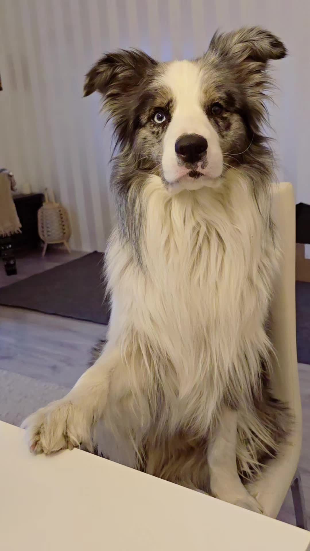@Kati Häkli