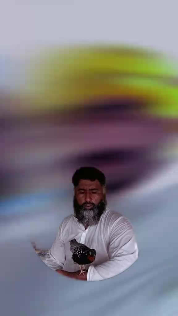 @javeed Q ureshi