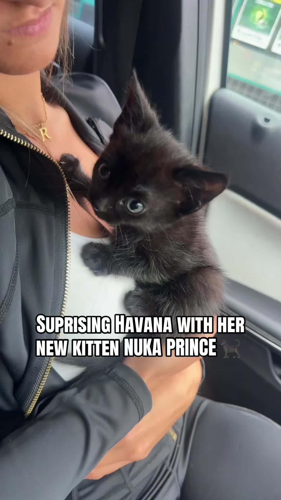 @ATLANTA&HAVANA🤍