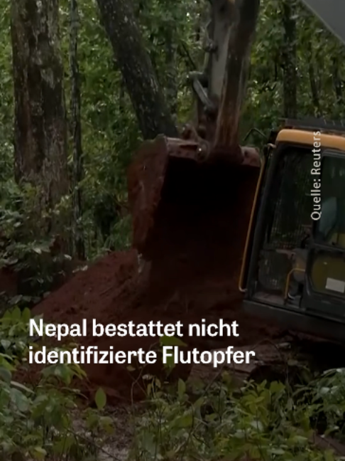 @DIE ZEIT