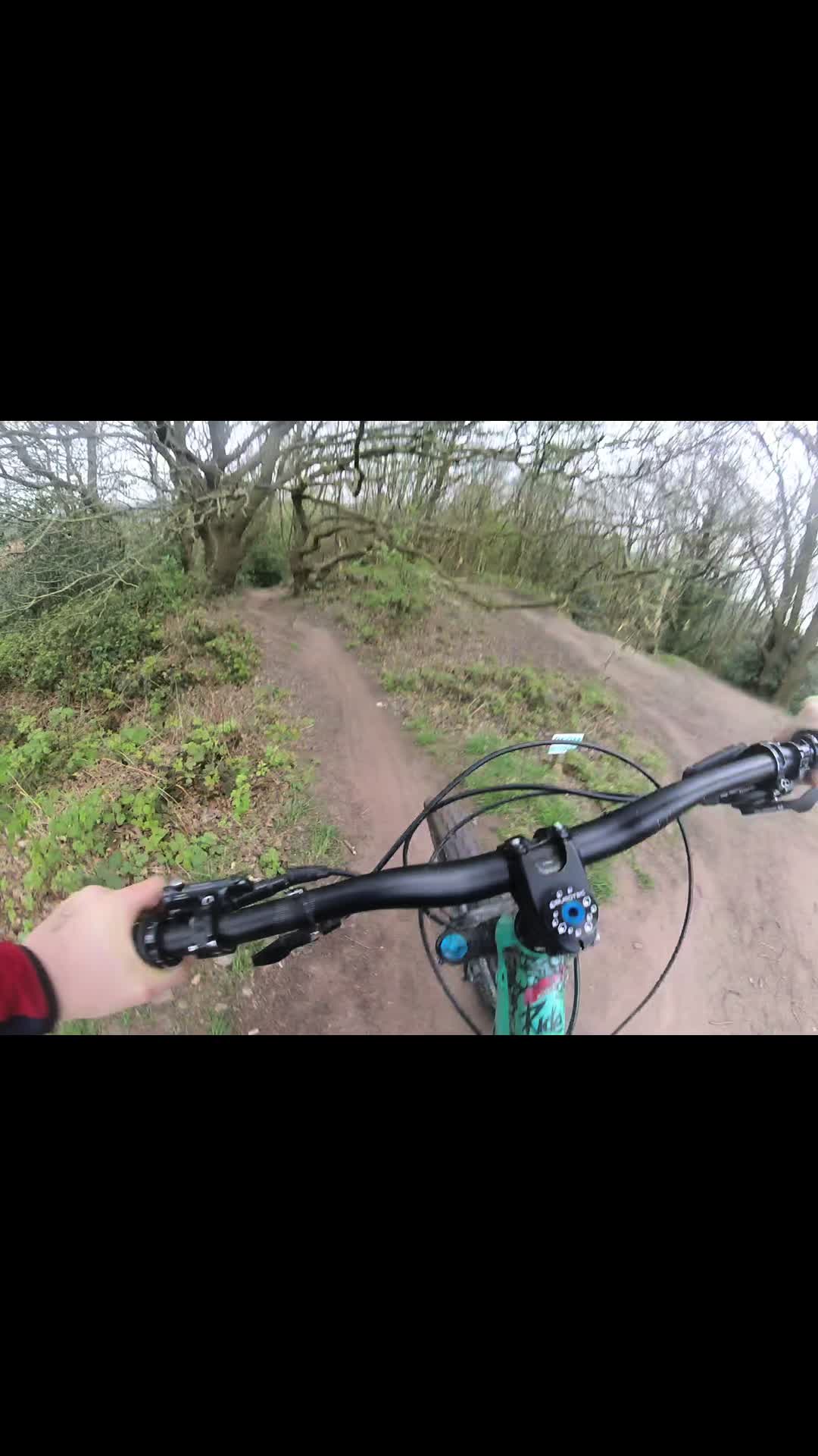 @SL🇬🇧