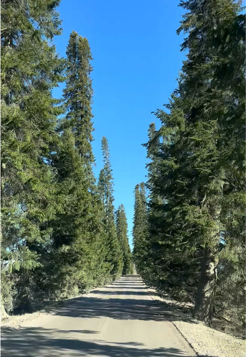 @Ansku 🇫🇮