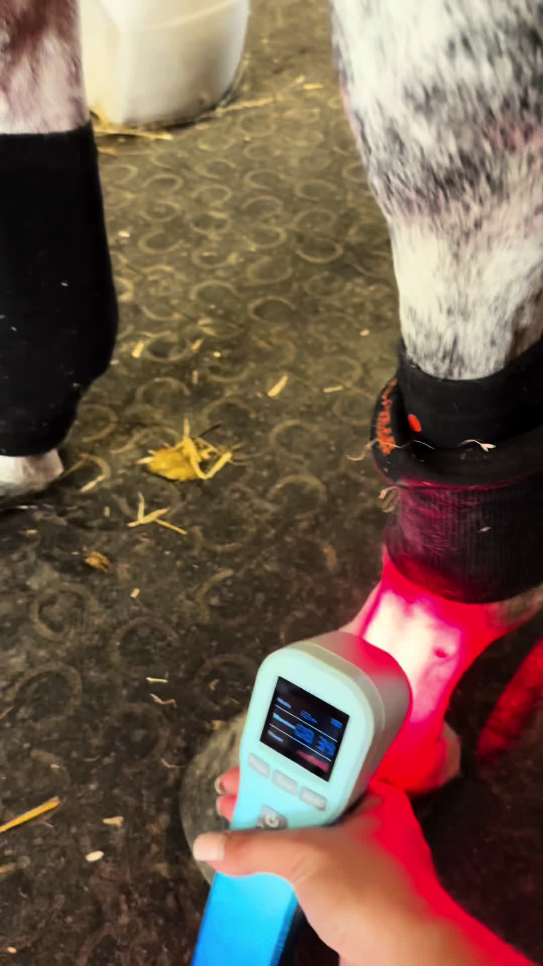 @Lili Kulcsár