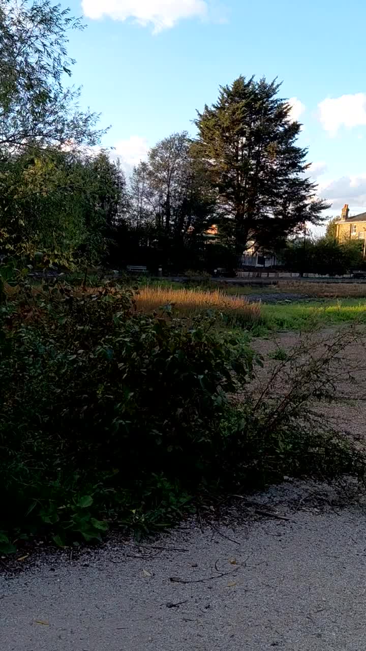 @VisitingPlacesUKAndWildlifeUK