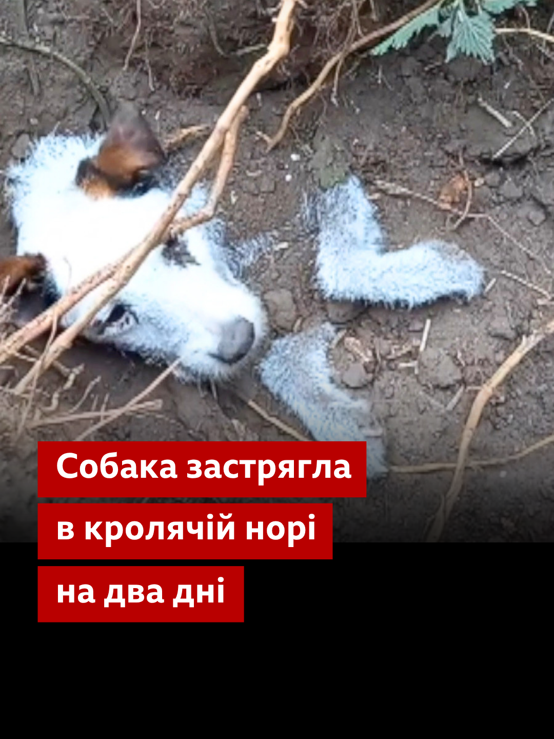 @BBC News Ukrainian