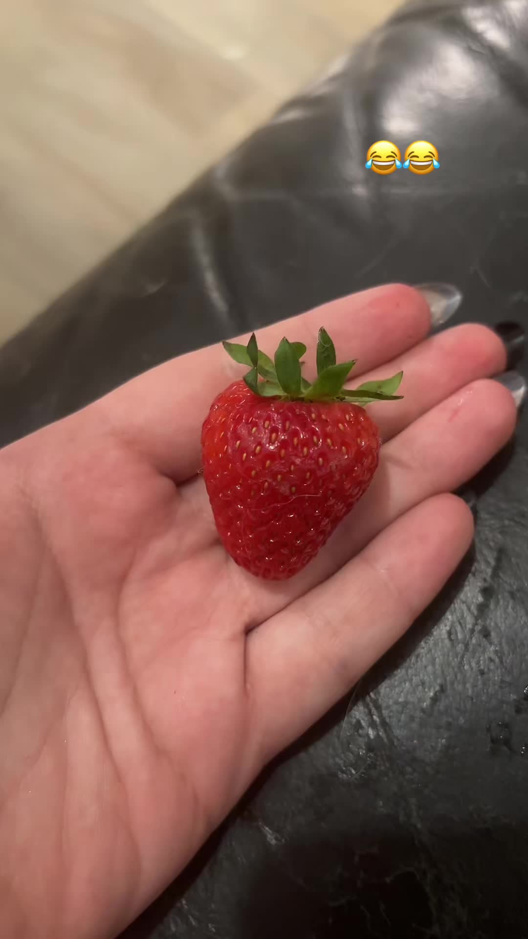 @𝒜𝒷𝒷𝓎𝒞𝒽𝓇𝒾𝓈 🍓