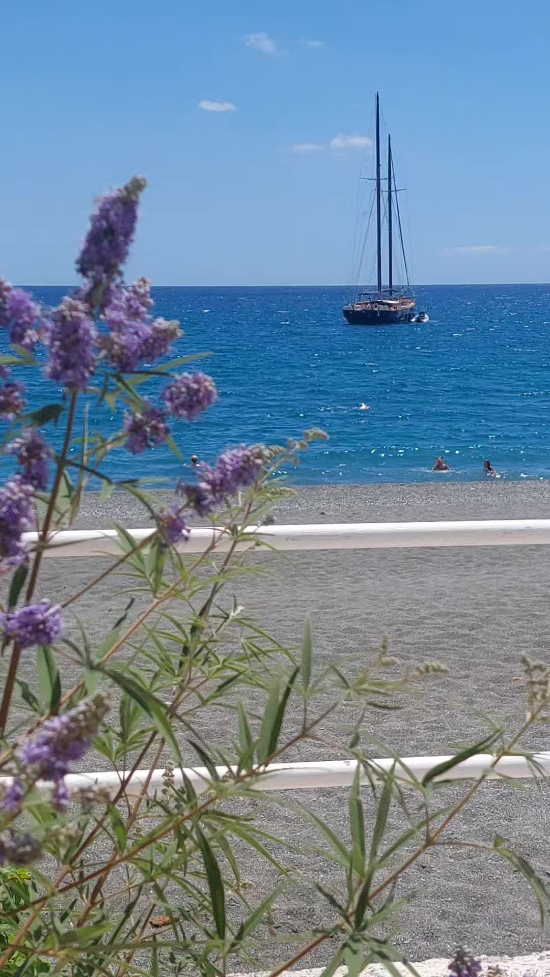 @Artemis_nature