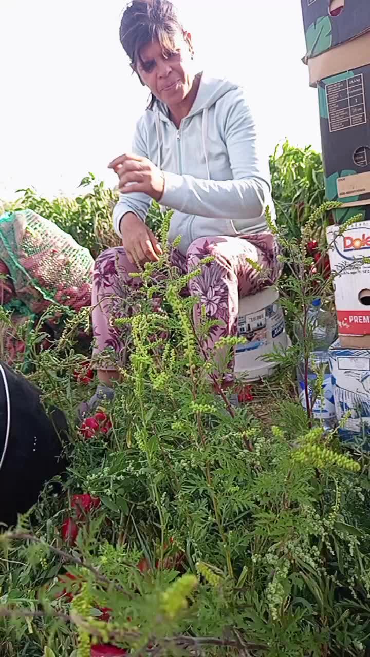 @&ouml;r&ouml;k pusztito 👿