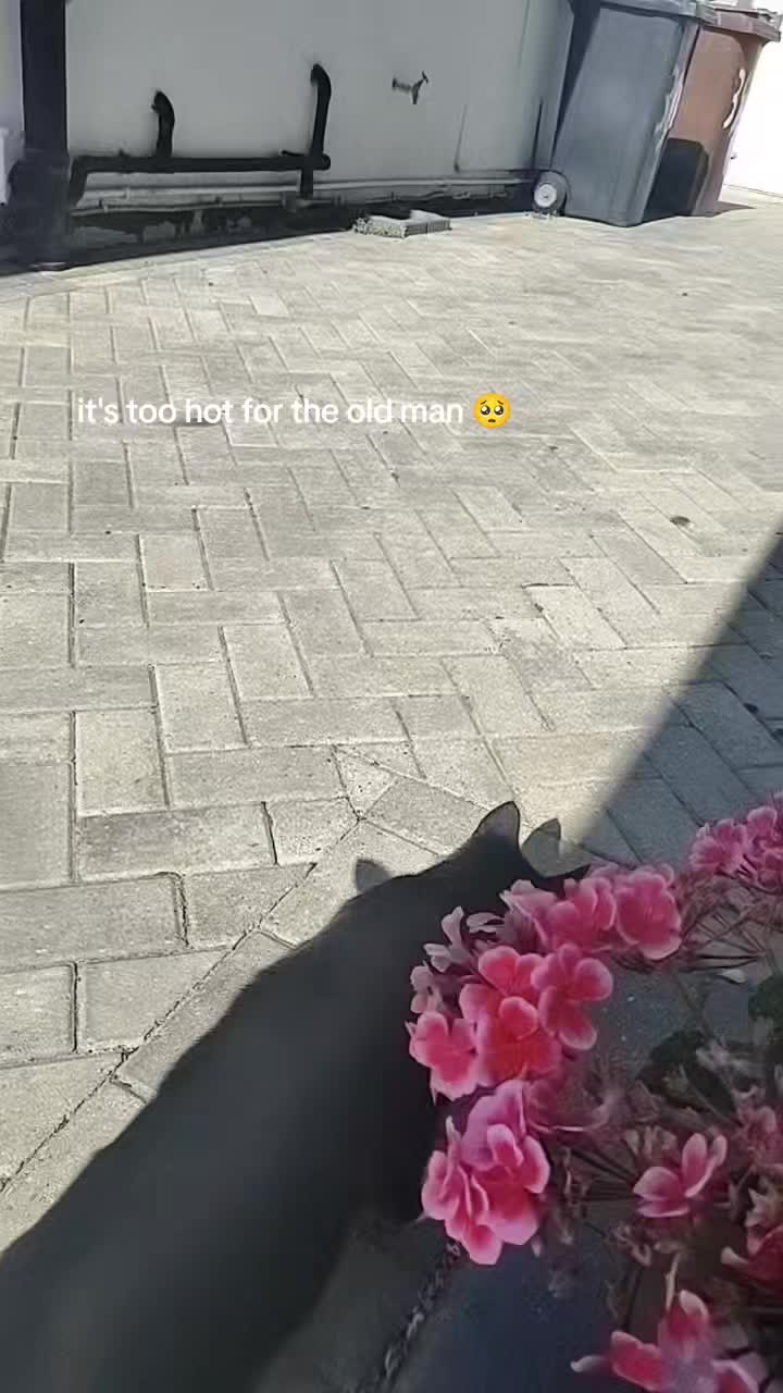 @🤷♀️💗