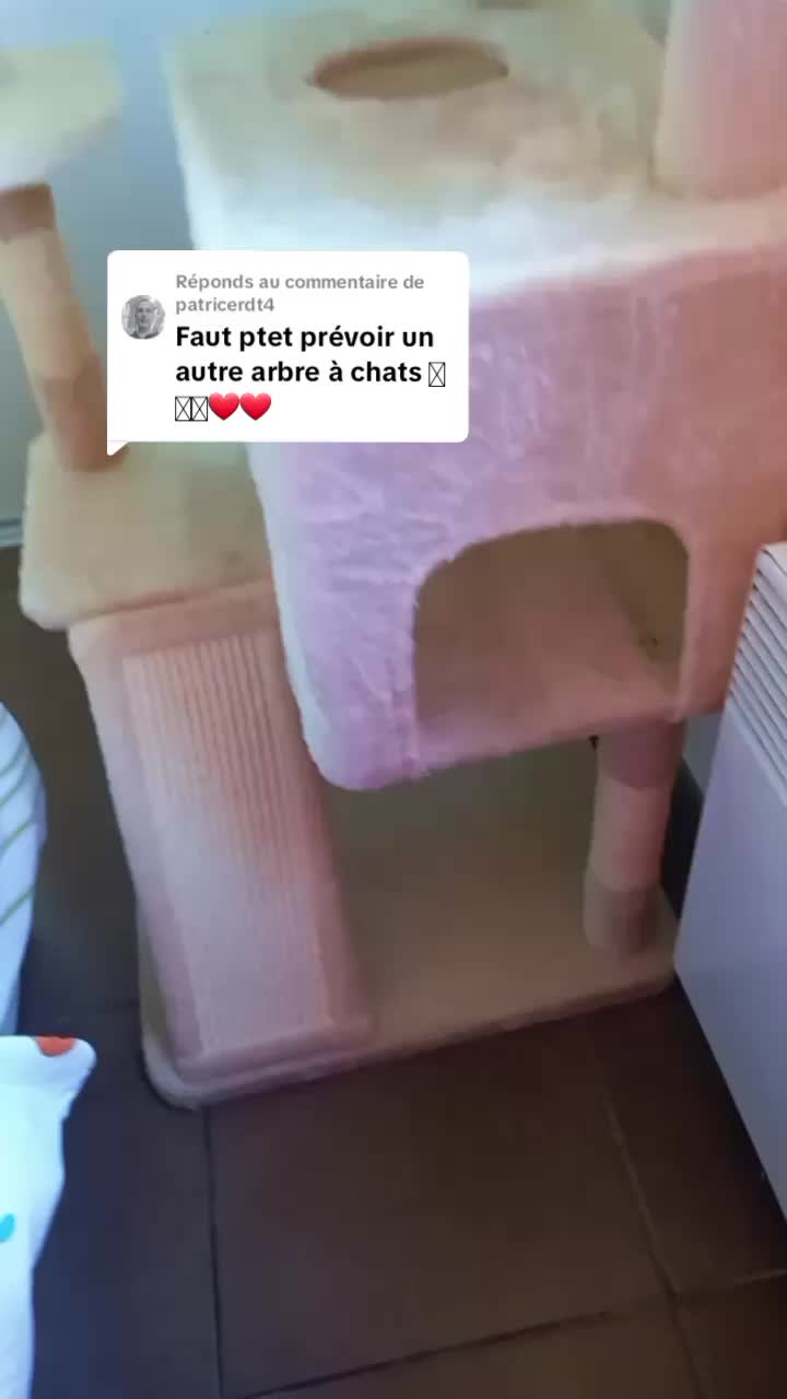 @Kitty et Jul