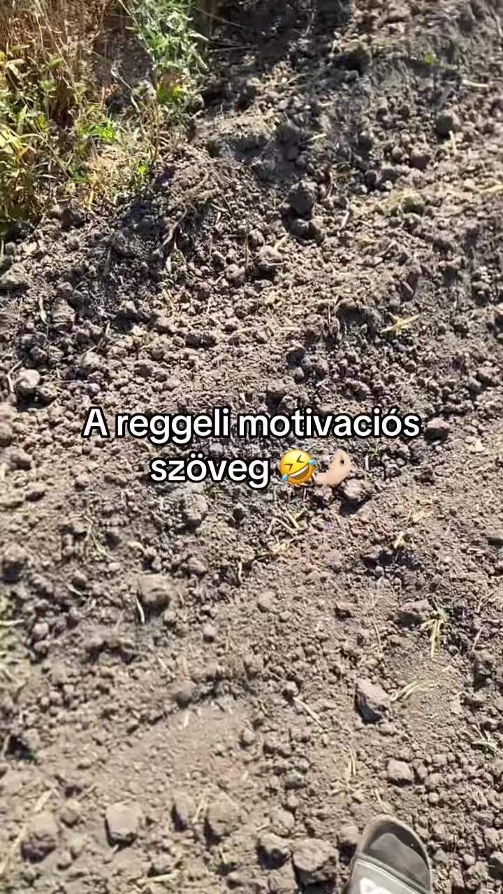 @Süni🦔