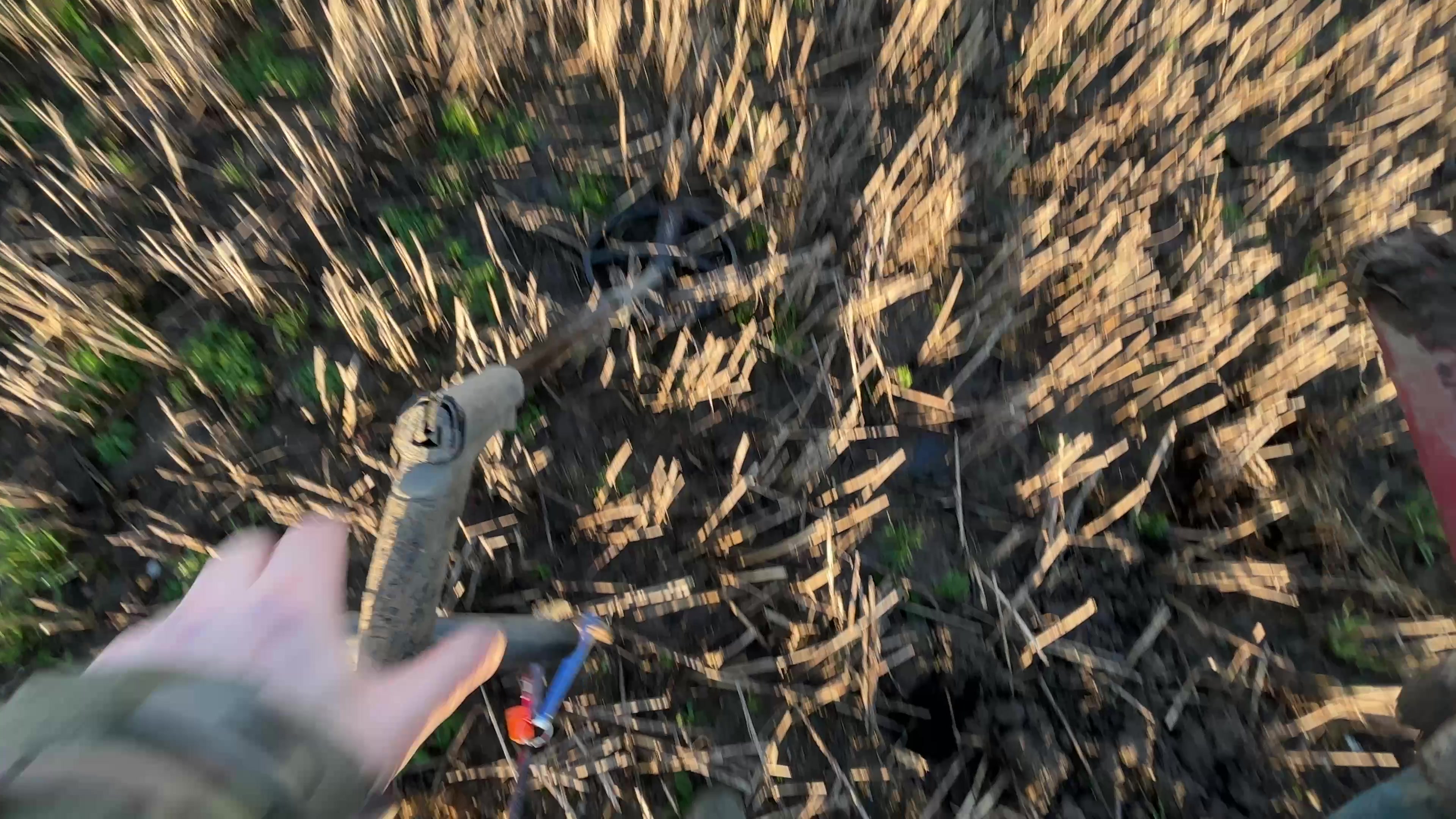 @Glasgow Detectorist