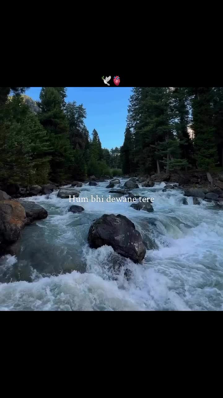 @VisionaryEdits