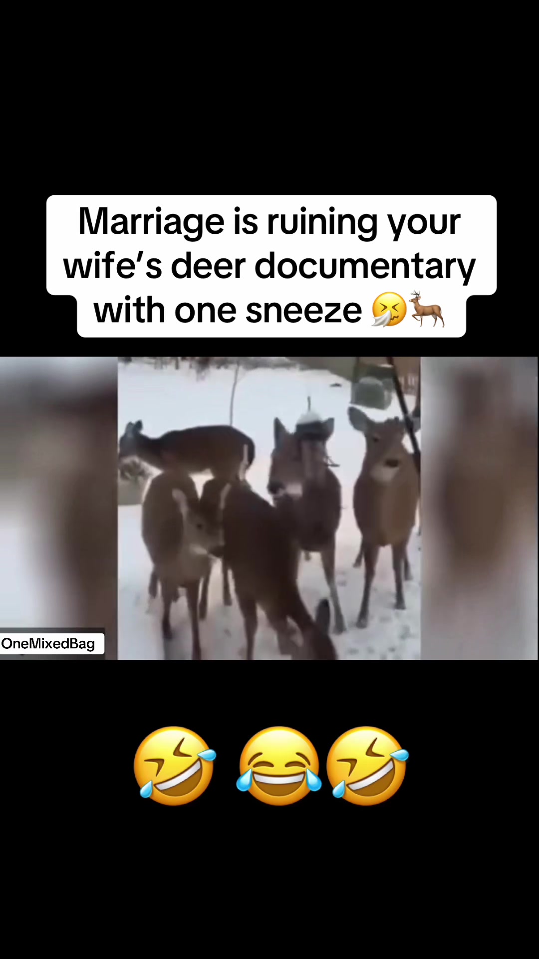 @onemixedbag