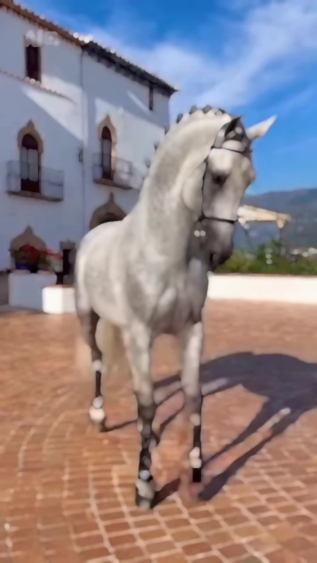 @lala