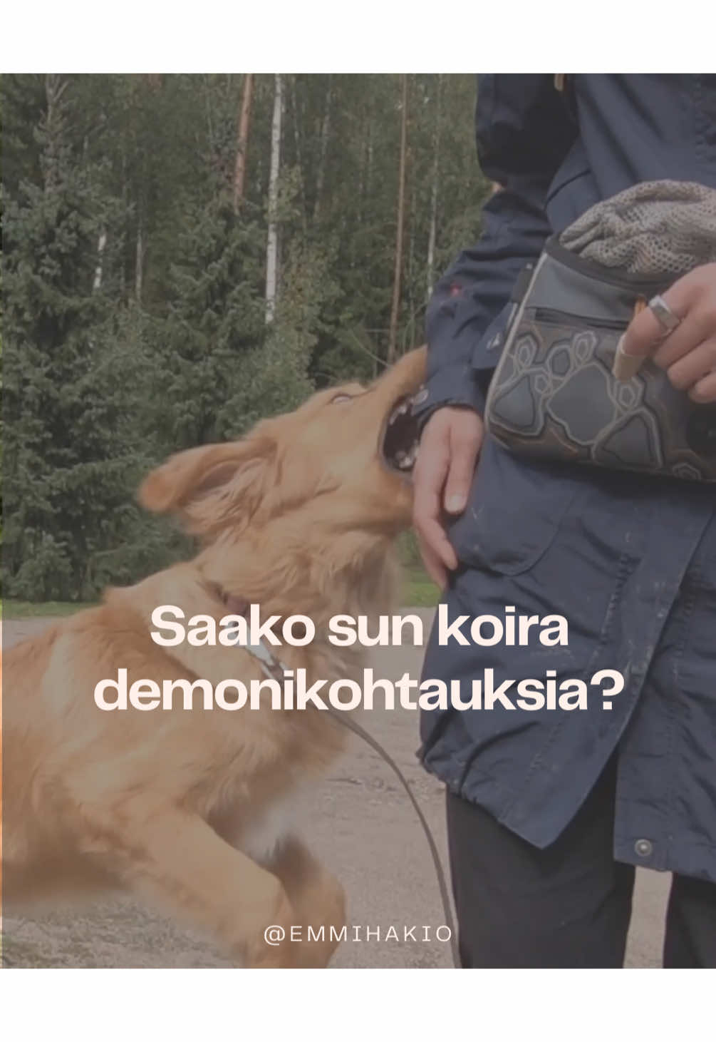 @Emmi Hakio