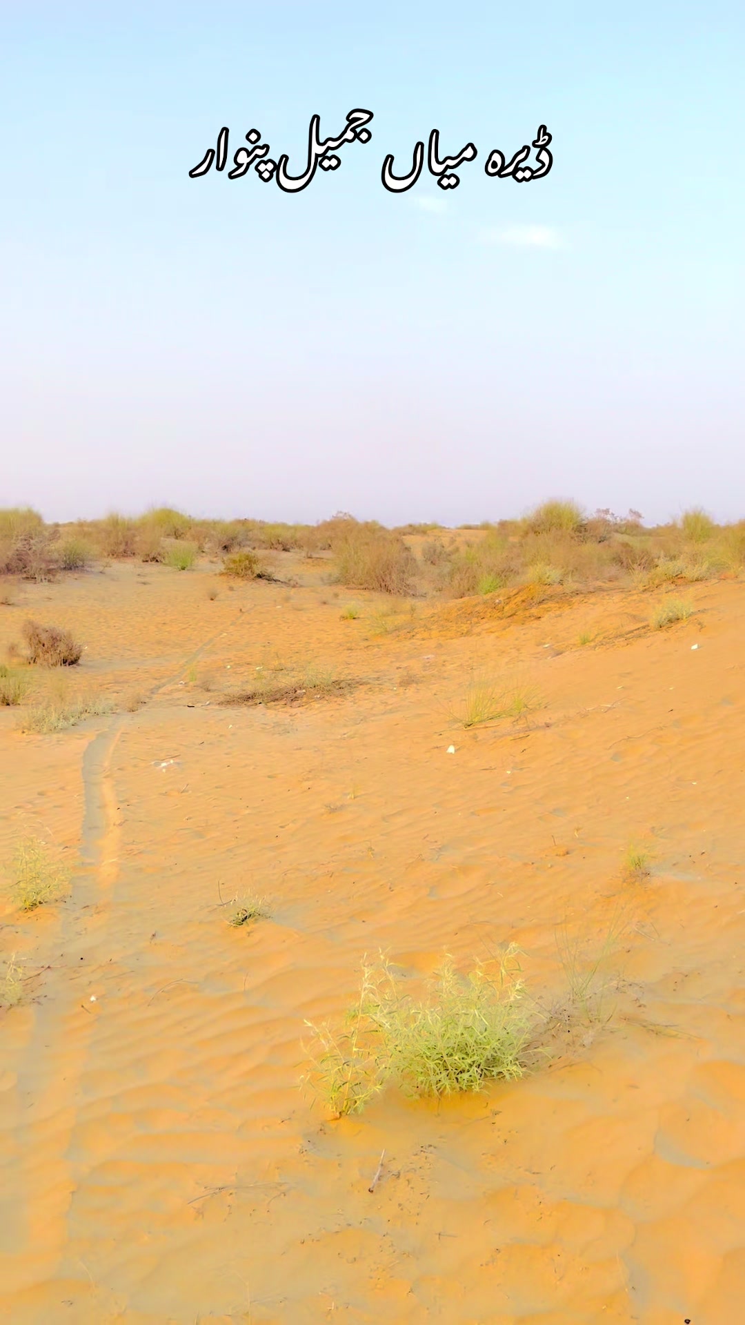 @Mian Jameel Panwar 94