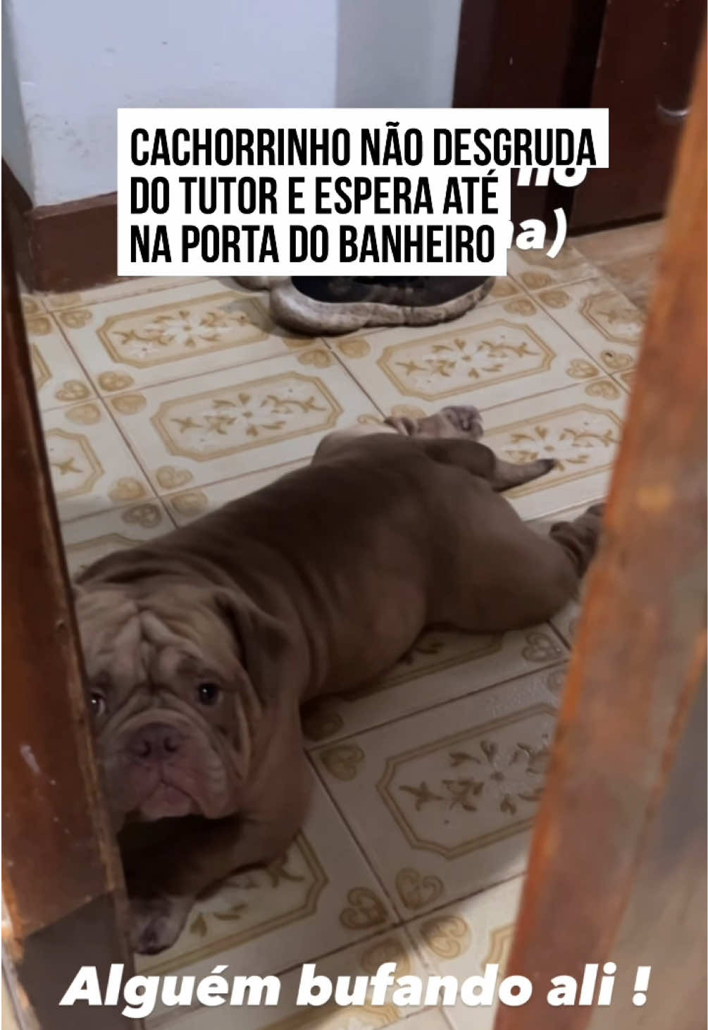 @Metrópoles Oficial
