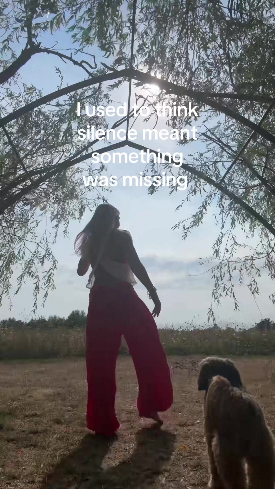 @forest.moon.wellbeing