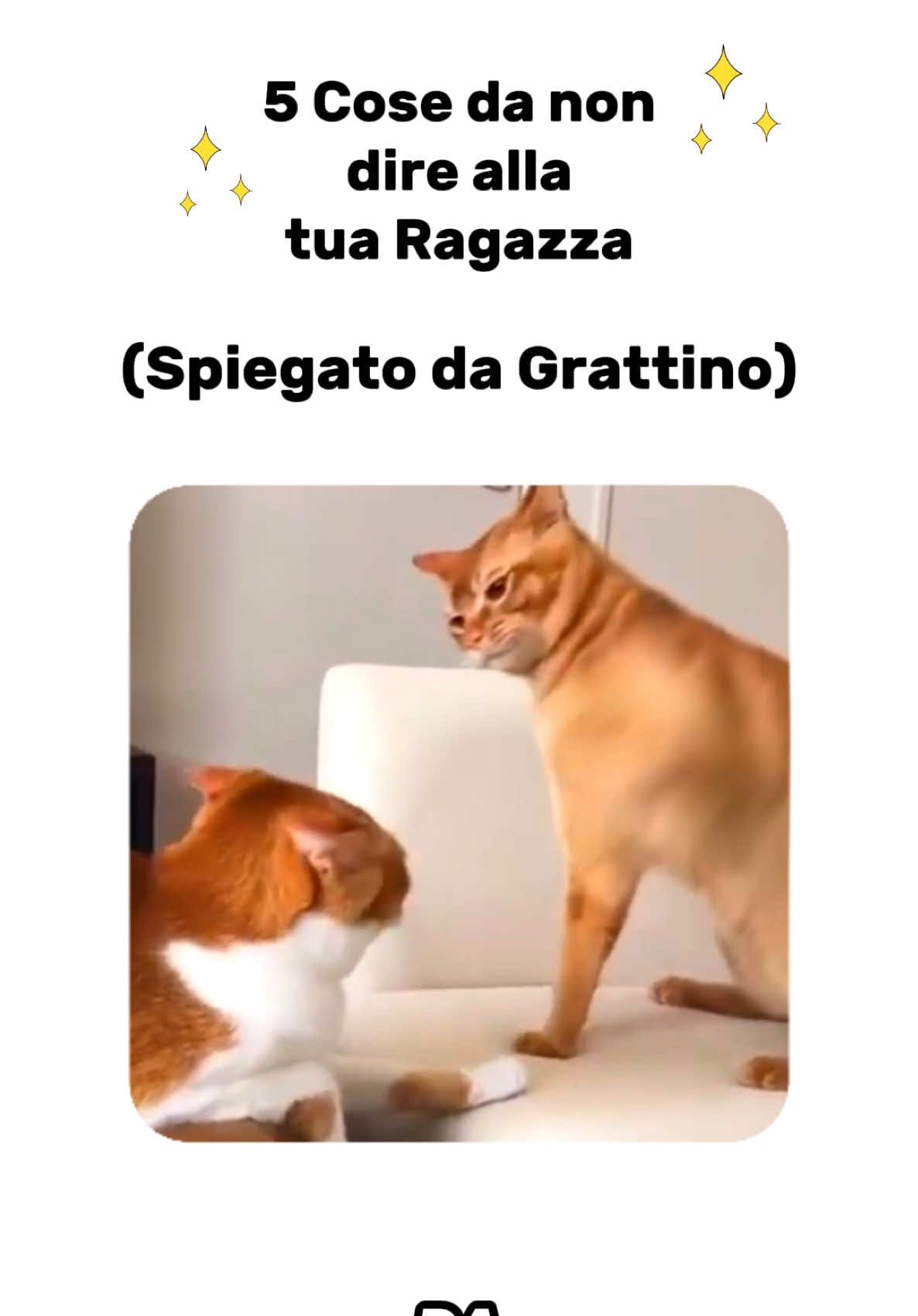 @Grattino😻