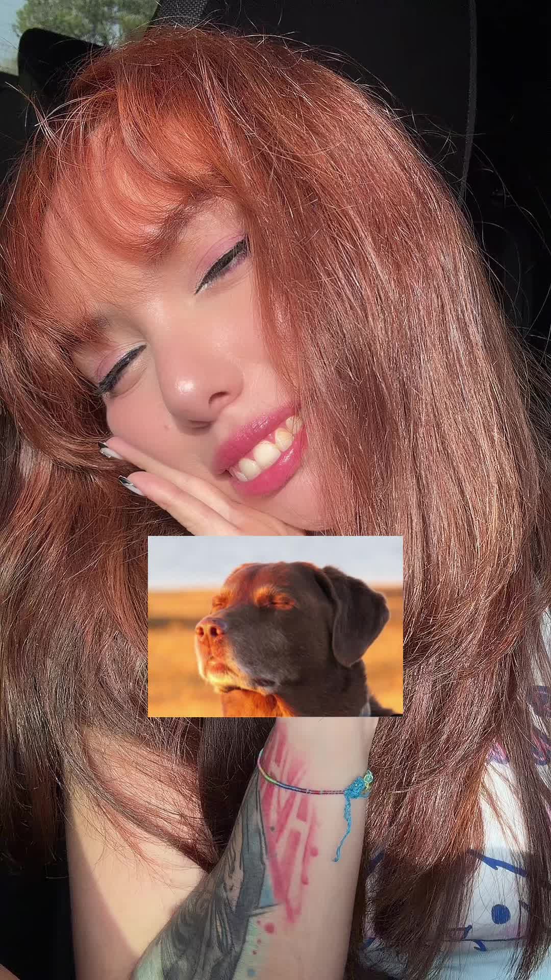 @Shiro_eevee