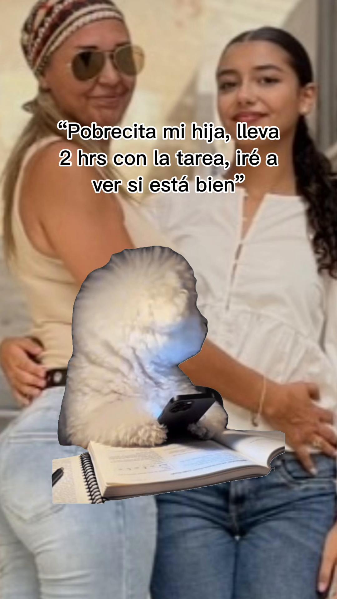 @brownie