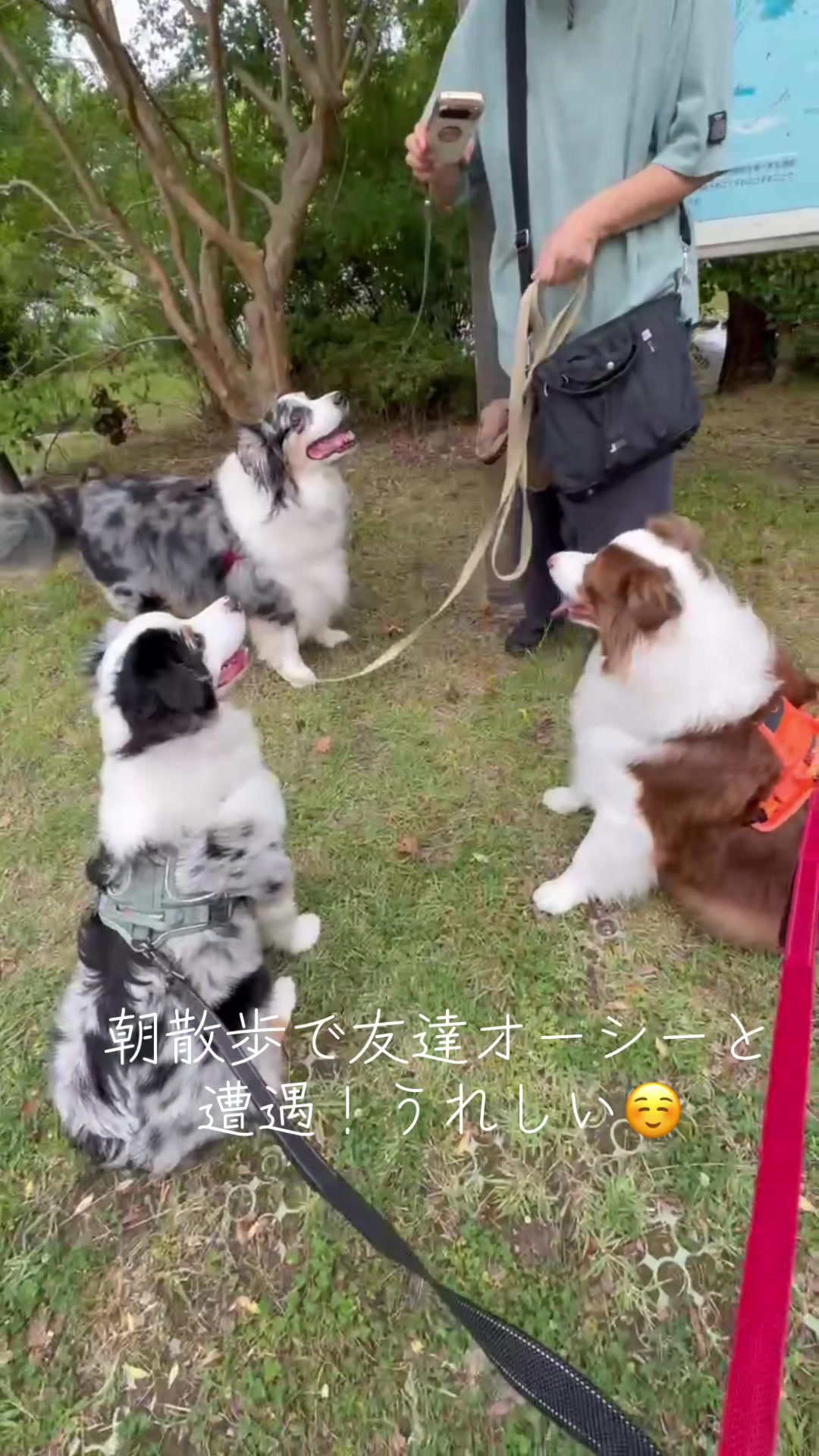 @サン&タマ