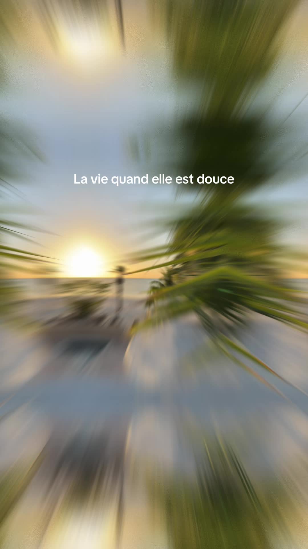 @anouaroaming 🌴🥥☀️