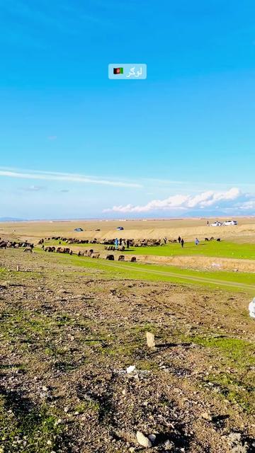 @Watan 🇦🇫