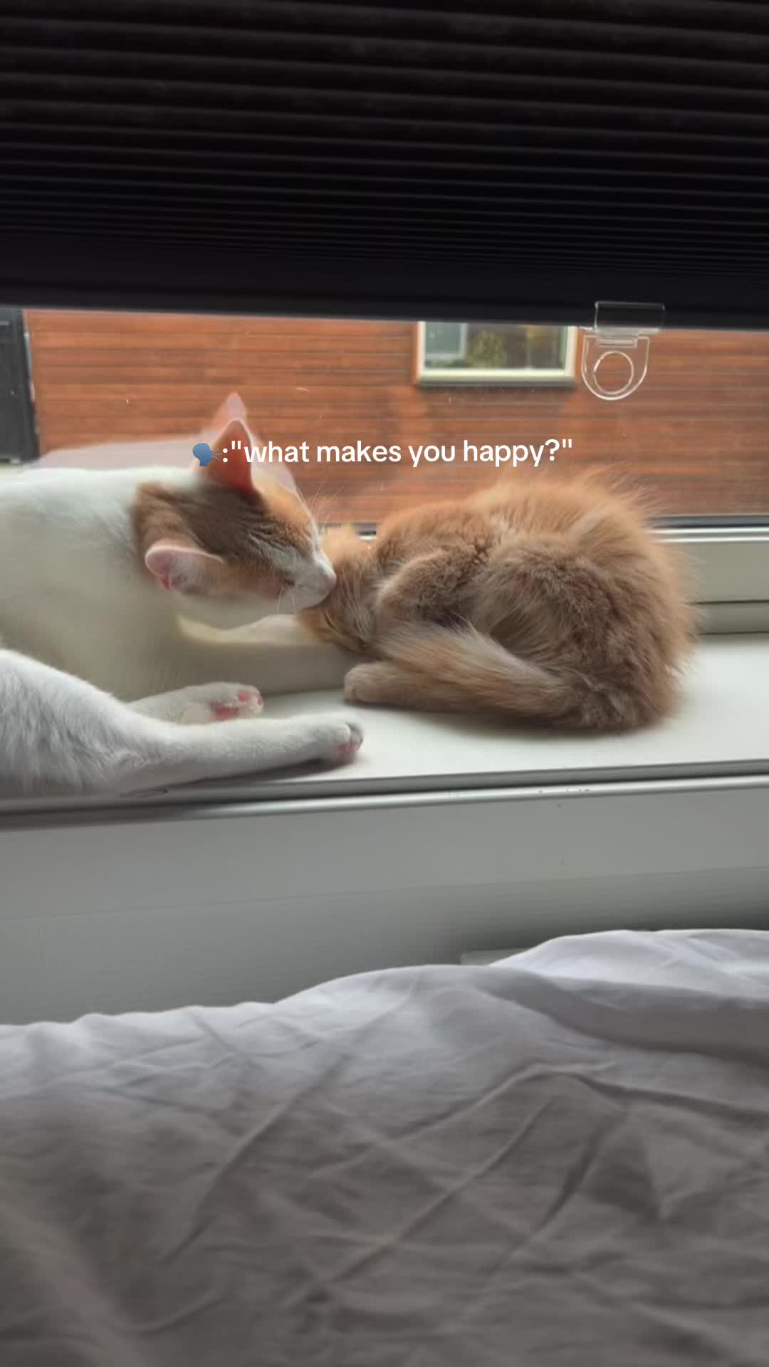 @𝐿𝒾𝓈𝑒