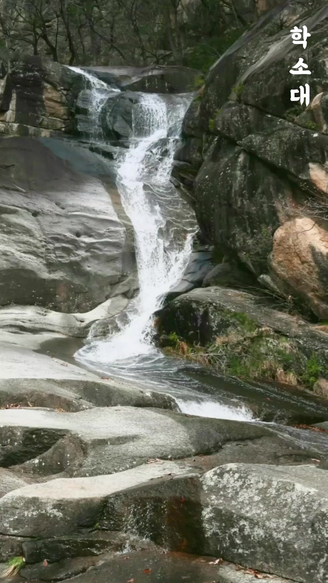 @⏰️ 거꾸로 가는 시계 ⏰️