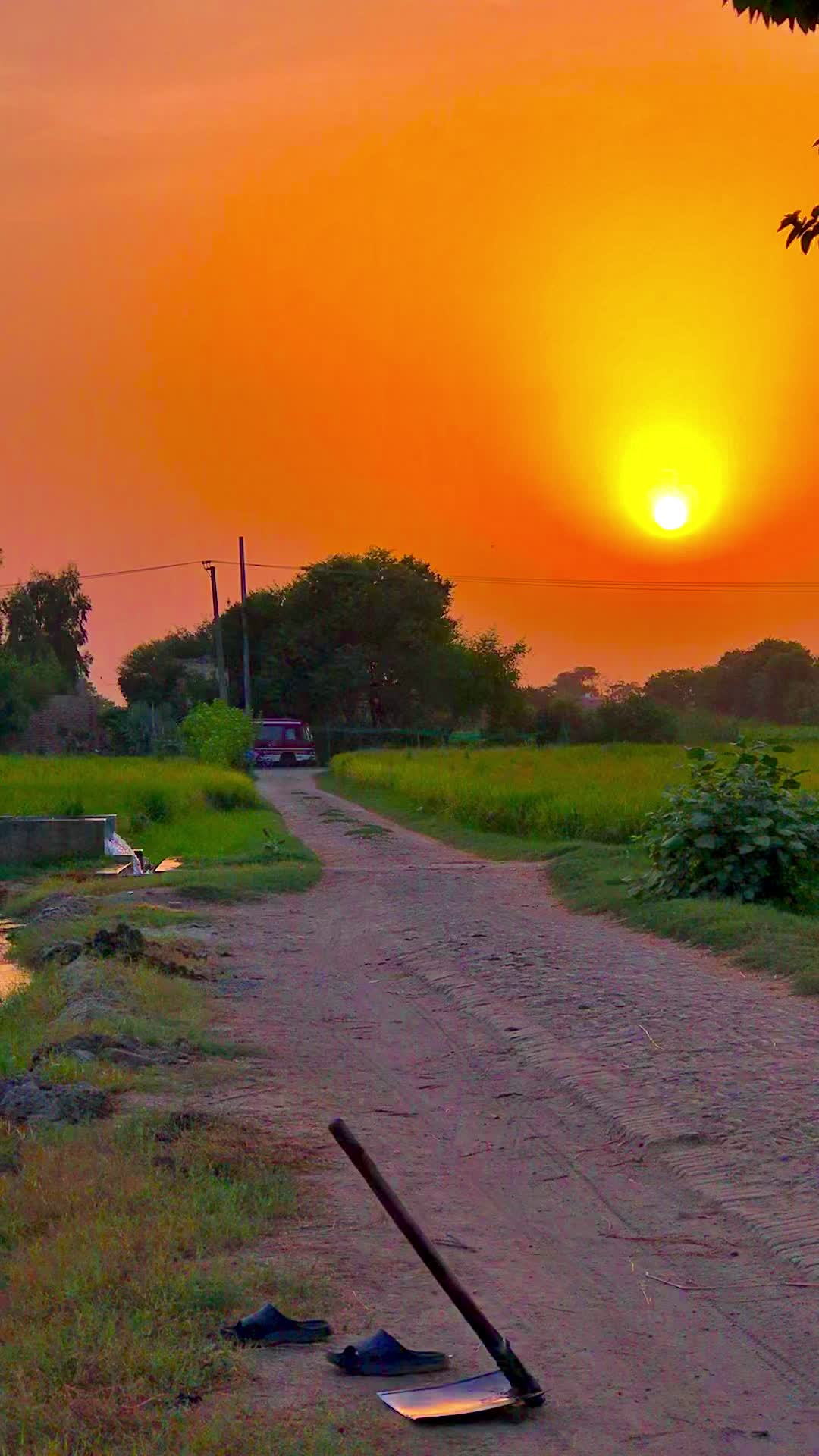 @پنجابی لڑکی🍃🌱💯