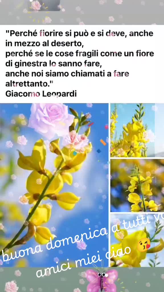 @Caterina.Zanni204