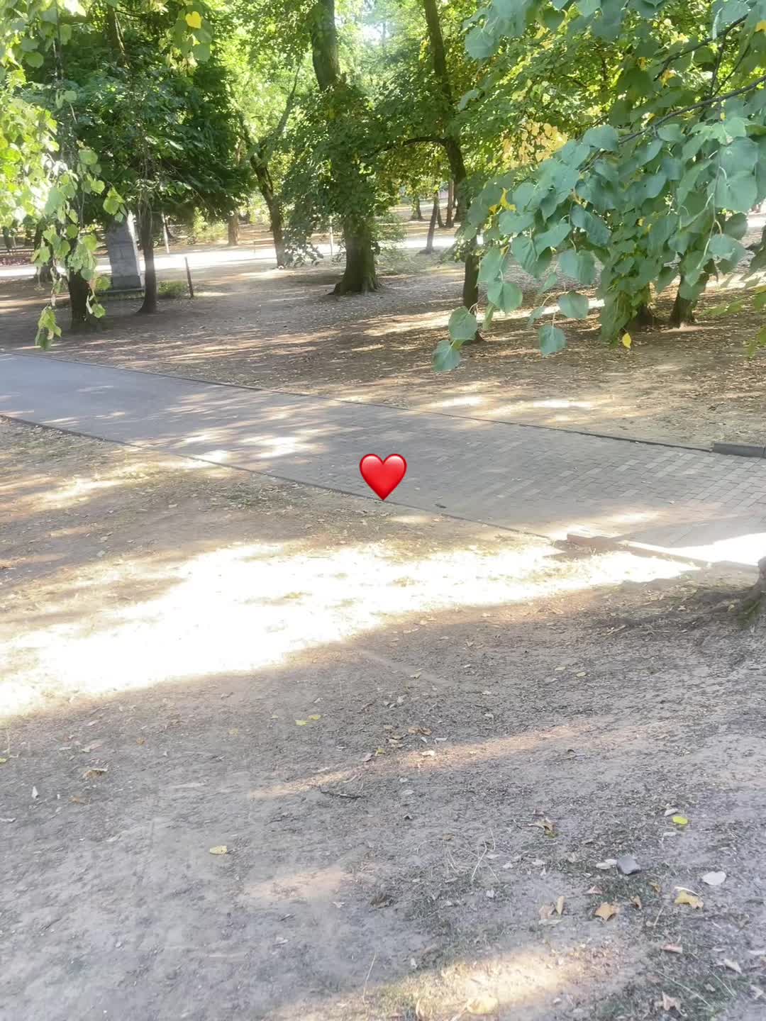 @Andra Zavoreanka