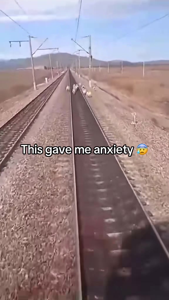 @TightMemes ๐